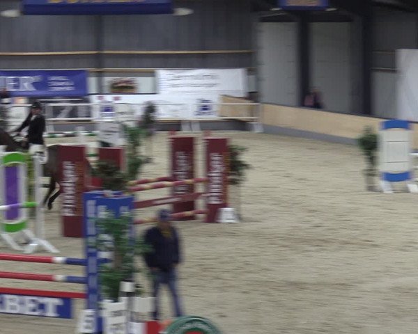 Reitturnier Borken 2024