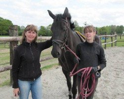 broodmare Tsarine de Varenne (Selle Français, 2007, from Joeris)