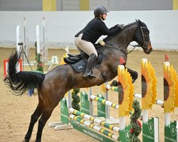 Springpferd Femke (KWPN (Niederländisches Warmblut), 2010, von Azteca VDL)