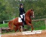 broodmare Champion´s Lady I M (German Riding Pony, 2003, from FS Champion de Luxe)