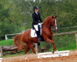 Zuchtstute Champion´s Lady I M (Deutsches Reitpony, 2003, von FS Champion de Luxe)