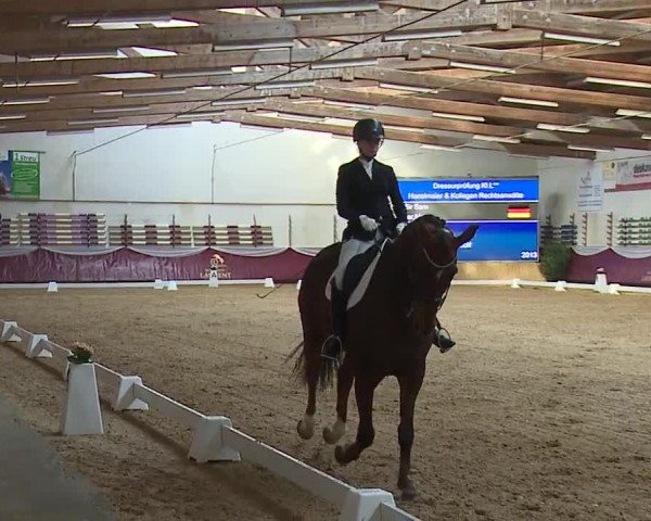 Reitturnier Eicherloh RH Laurent/Obb. 2024