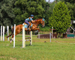 broodmare Cora de Kotten xx (Thoroughbred, 2007, from Diamante xx)