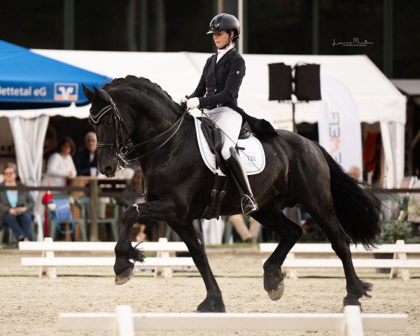 stallion Niek S. (Friese, 2012, from Beart 411)
