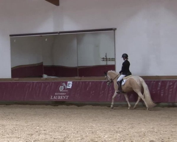 Reitturnier Eicherloh RH Laurent/Obb. 2024
