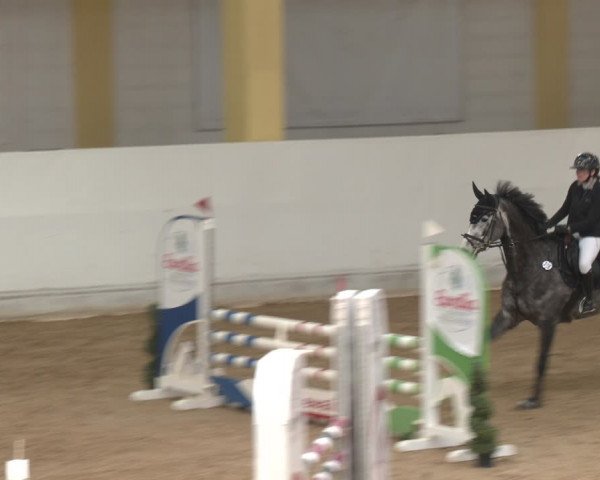 Reitturnier Stadl-Paura 2024
