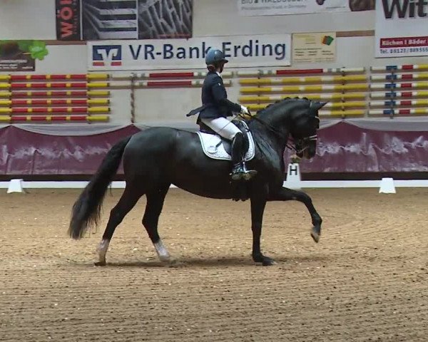 Reitturnier Eicherloh RH Laurent/Obb. 2024