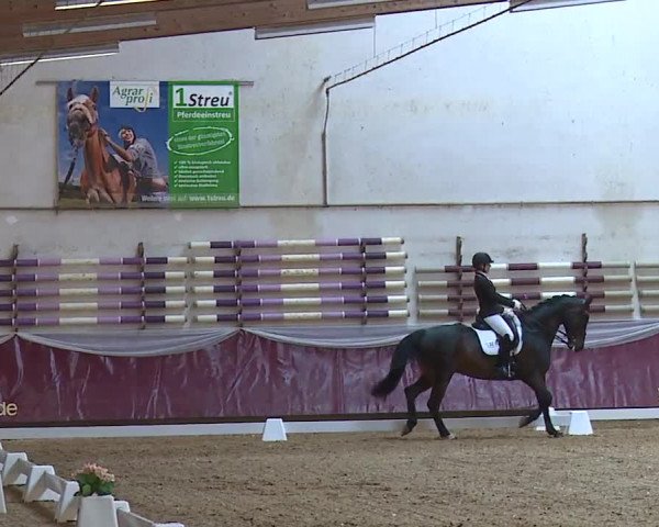 Reitturnier Eicherloh RH Laurent/Obb. 2024