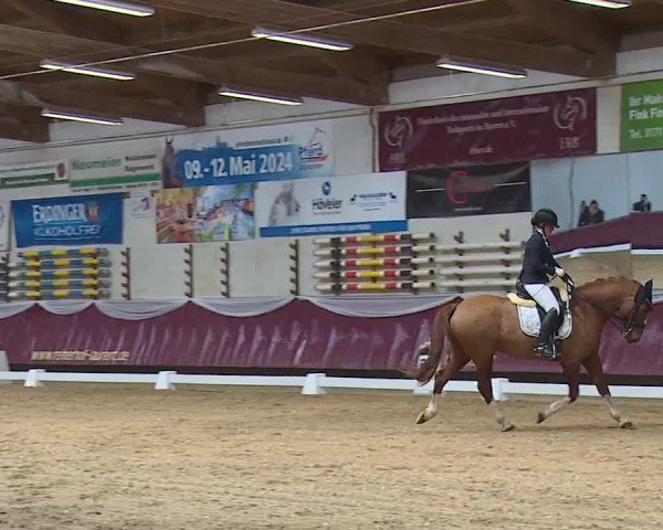 Reitturnier Eicherloh RH Laurent/Obb. 2024