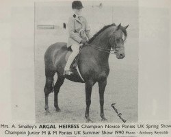 horse Argal Heiress (Welsh-Pony (Section B), 1985, from Orielton Aristocrat)