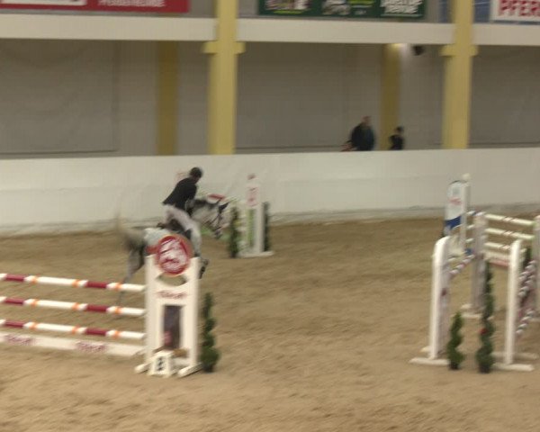 Reitturnier Stadl-Paura 2024
