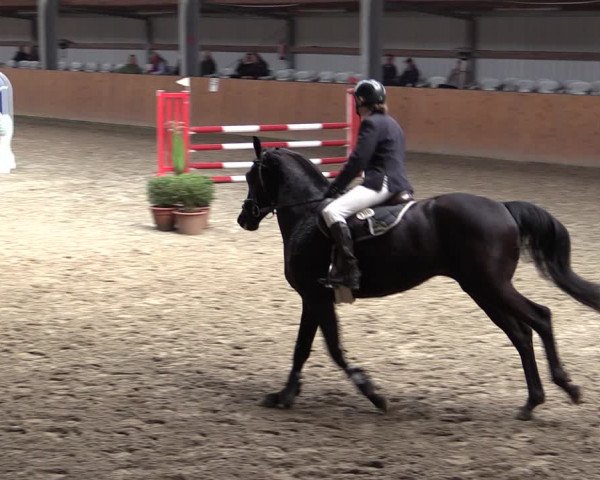 Reitturnier Schlieckau 2024