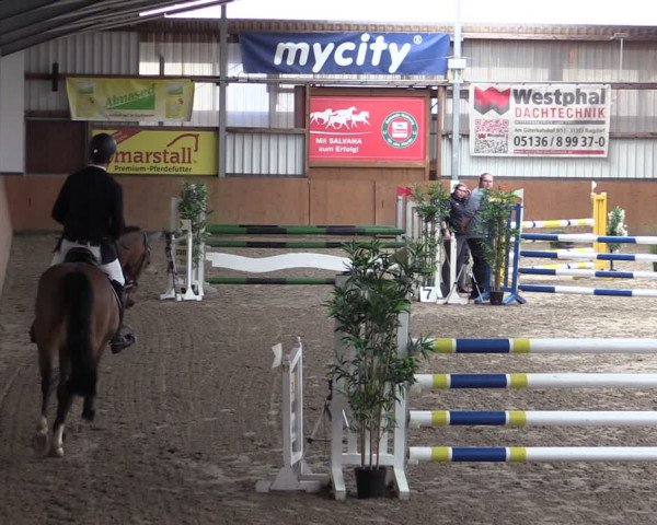 Reitturnier Schlieckau 2024