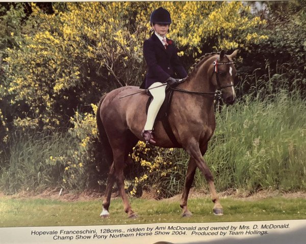 broodmare Hopevale Franceschini (British Riding Pony, 1998, from Fairley Rembrandt)