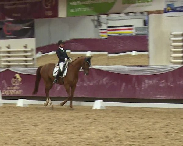 Reitturnier Eicherloh RH Laurent/Obb. 2024