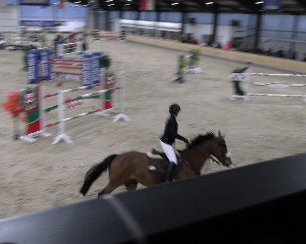Reitturnier Borken 2024