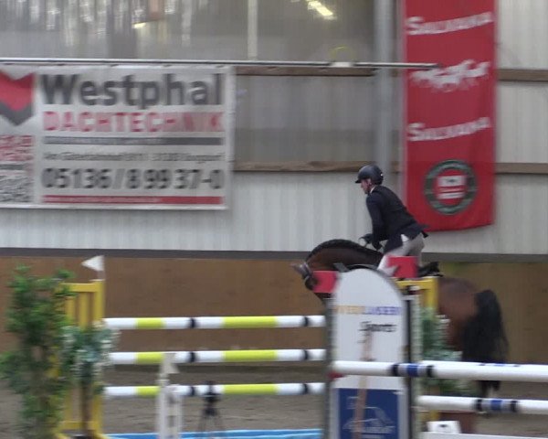 Reitturnier Schlieckau 2024