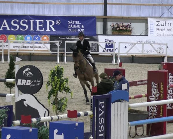 Reitturnier Borken 2024