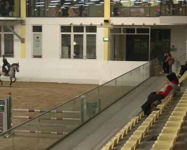 Reitturnier Stadl-Paura 2024