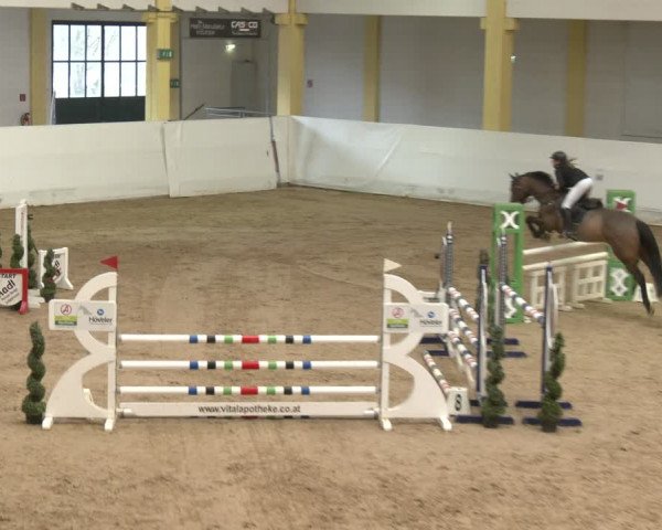 Reitturnier Stadl-Paura 2024