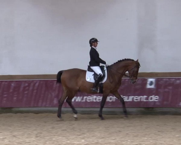 Reitturnier Eicherloh RH Laurent/Obb. 2024