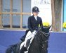 dressage horse Sir Sunny (Württemberger, 2007, from Sunny Day)