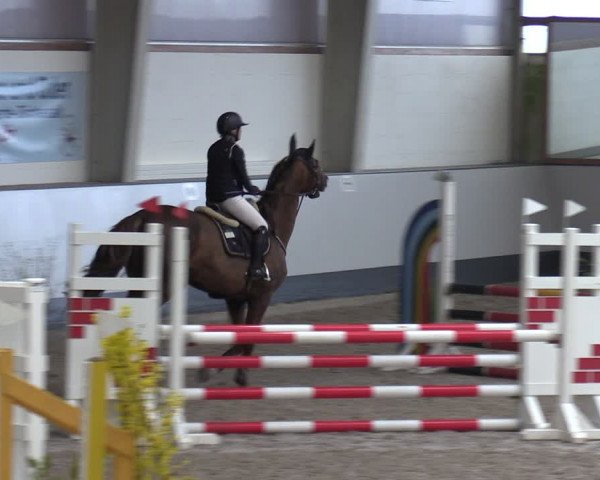 Reitturnier Münchehofe 2024