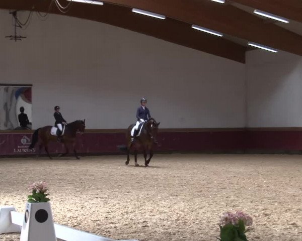Reitturnier Eicherloh RH Laurent/Obb. 2024