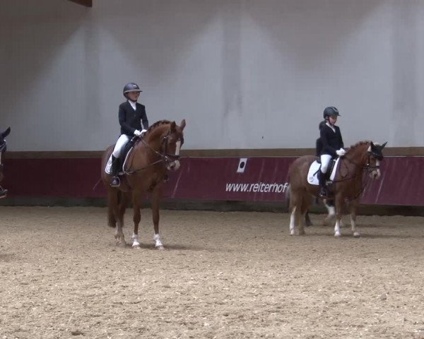 Reitturnier Eicherloh RH Laurent/Obb. 2024