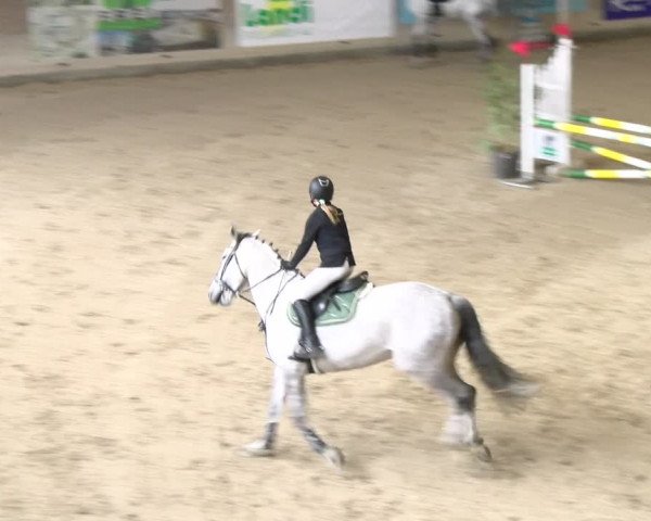 Reitturnier Schaffhausen 2024