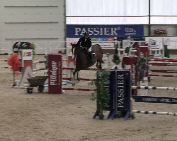 Reitturnier Borken 2024