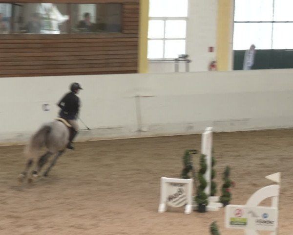 Reitturnier Stadl-Paura 2024