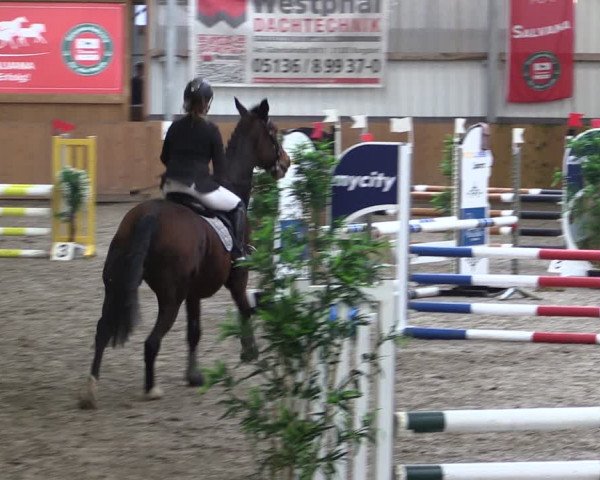Reitturnier Schlieckau 2024