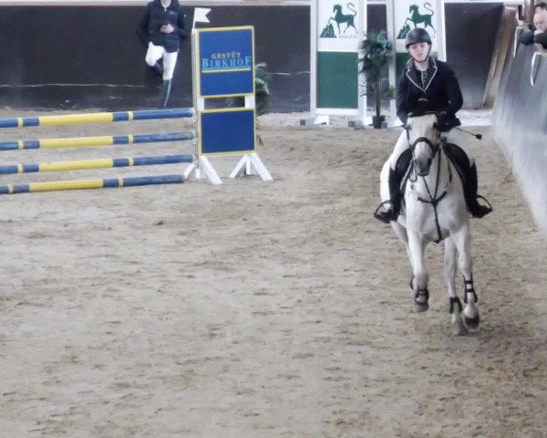 Reitturnier Weil der Stadt 2024