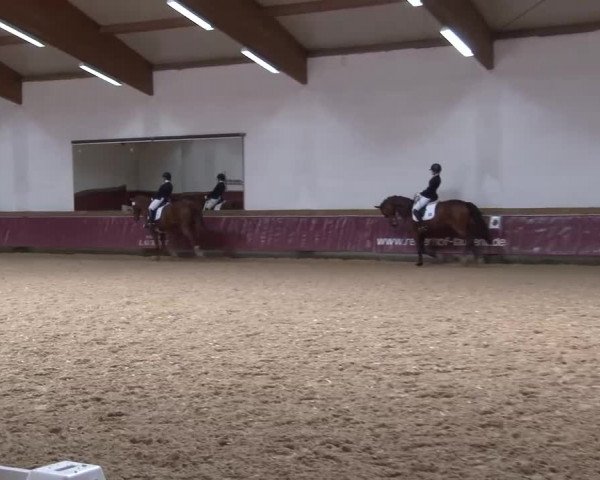 Reitturnier Eicherloh RH Laurent/Obb. 2024