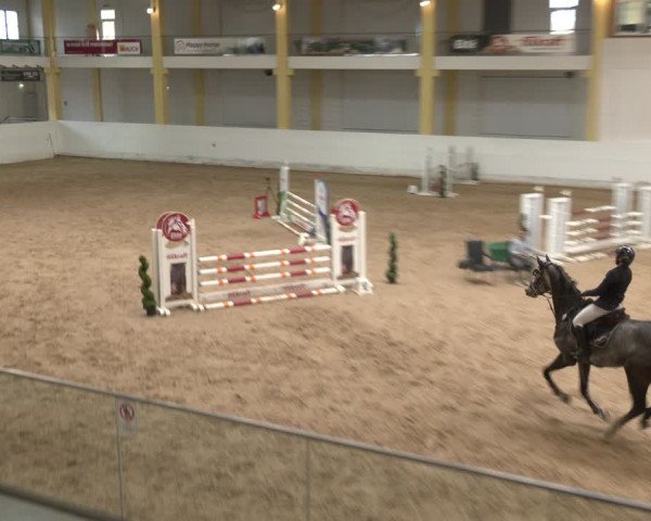 Reitturnier Stadl-Paura 2024