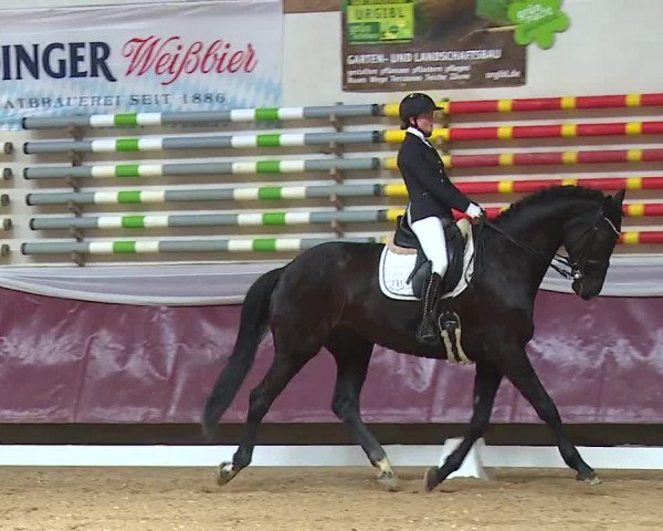 Reitturnier Eicherloh RH Laurent/Obb. 2024