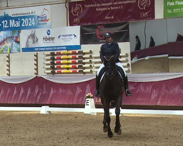 Reitturnier Eicherloh RH Laurent/Obb. 2024