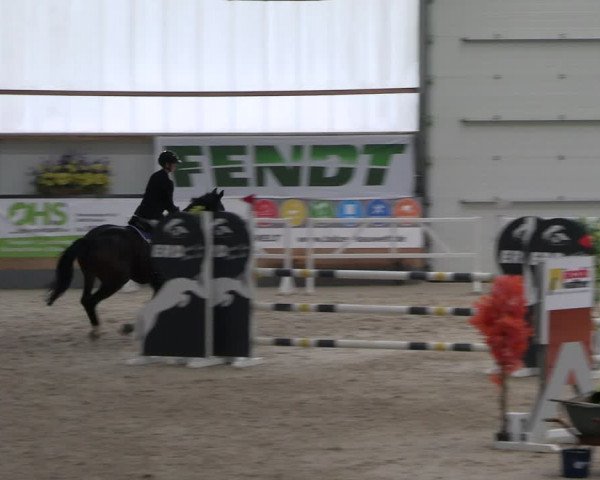 Reitturnier Borken 2024