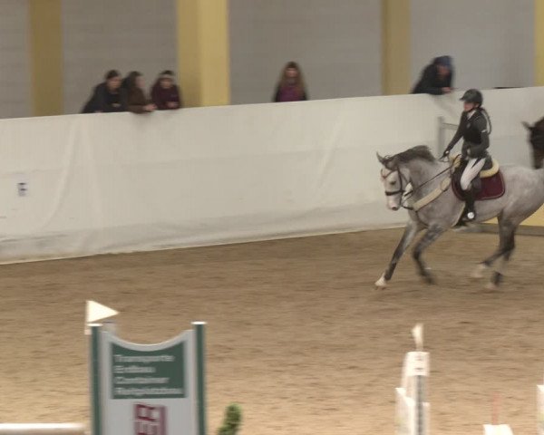 Reitturnier Stadl-Paura 2024