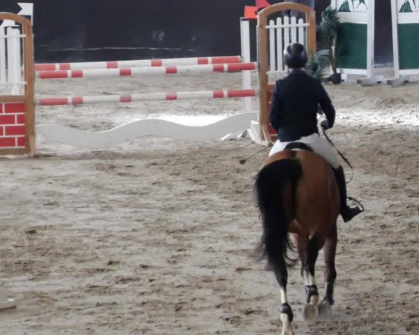 Reitturnier Weil der Stadt 2024