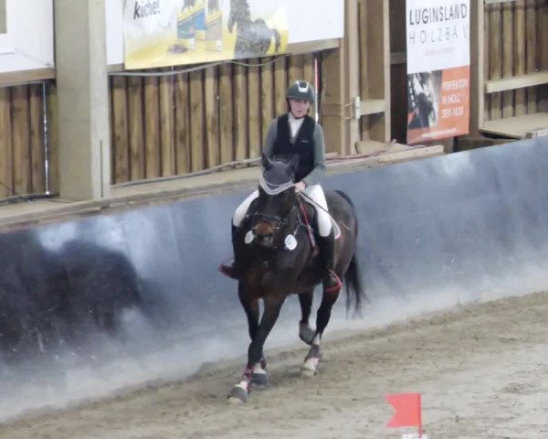 Reitturnier Weil der Stadt 2024