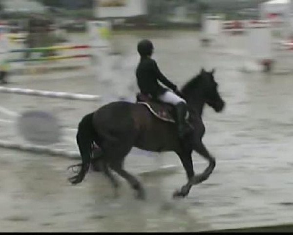 Waltrop 2011