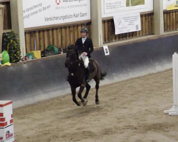 Reitturnier Weil der Stadt 2024