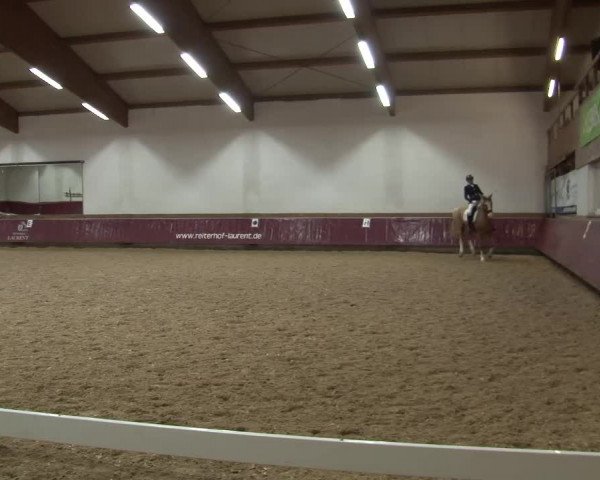 Reitturnier Eicherloh RH Laurent/Obb. 2024