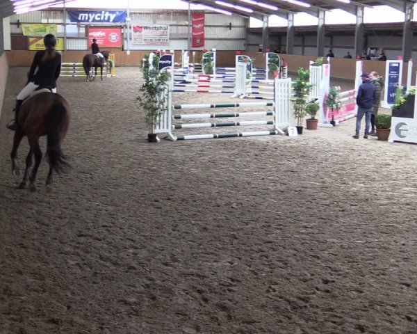 Reitturnier Schlieckau 2024