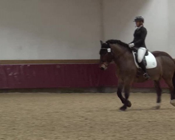 Reitturnier Eicherloh RH Laurent/Obb. 2024