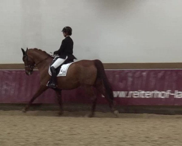 Reitturnier Eicherloh RH Laurent/Obb. 2024