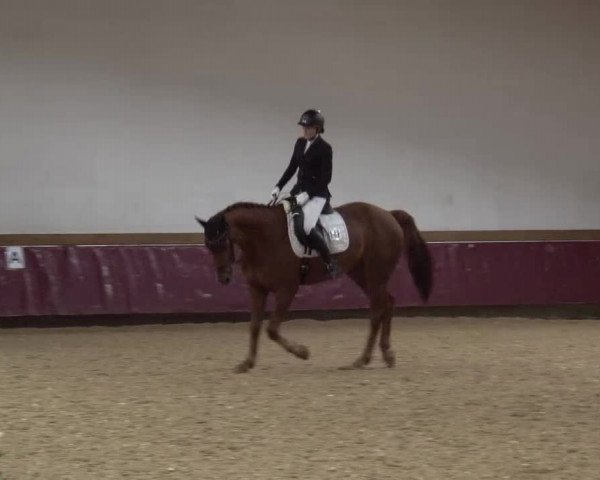 Reitturnier Eicherloh RH Laurent/Obb. 2024