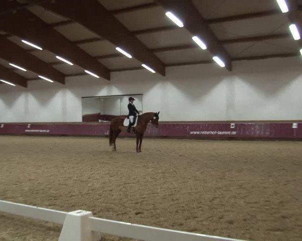 Reitturnier Eicherloh RH Laurent/Obb. 2024